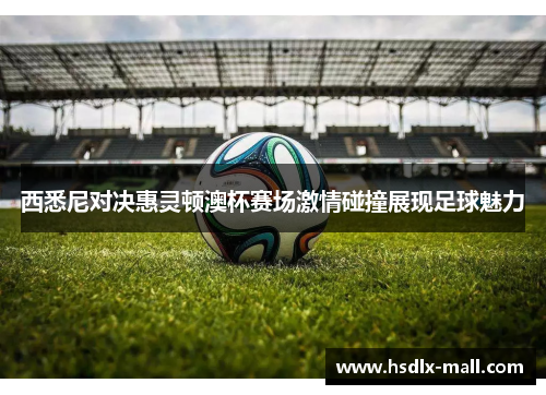 西悉尼对决惠灵顿澳杯赛场激情碰撞展现足球魅力