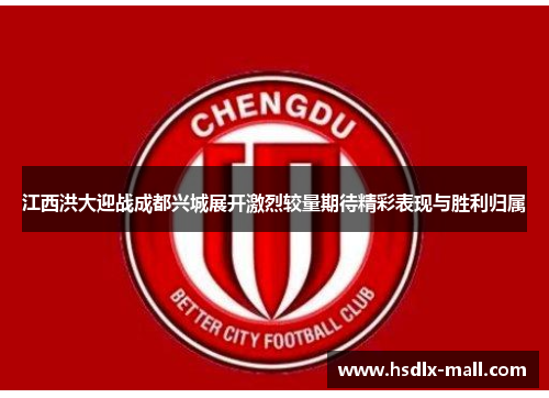 江西洪大迎战成都兴城展开激烈较量期待精彩表现与胜利归属
