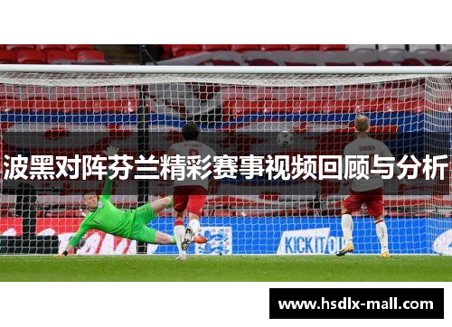 波黑对阵芬兰精彩赛事视频回顾与分析