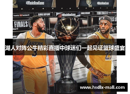 湖人对阵公牛精彩直播中球迷们一起见证篮球盛宴